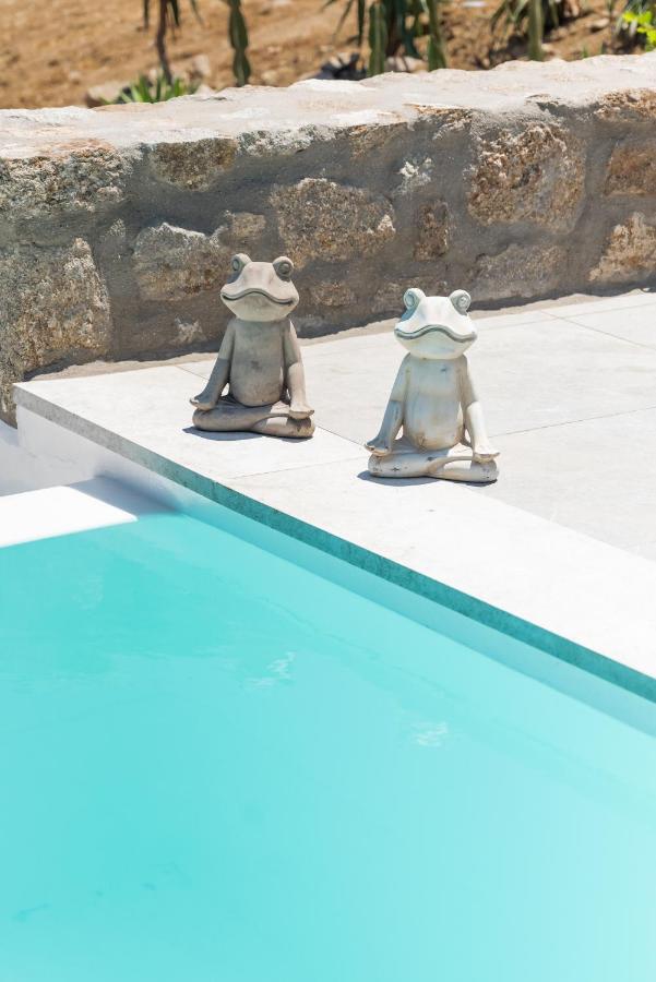 Dioni Villa Mykonos Paraga  Exteriör bild
