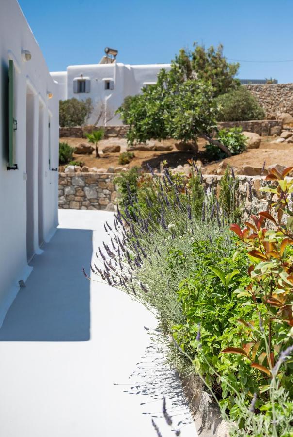 Dioni Villa Mykonos Paraga  Exteriör bild